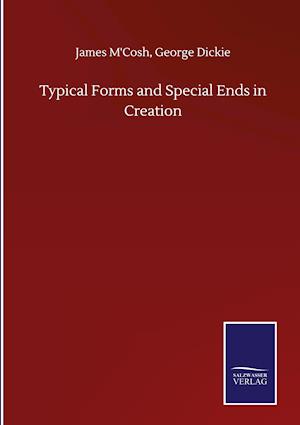 Typical Forms and Special Ends in Creation