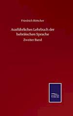 Ausführliches Lehrbuch der hebräischen Sprache