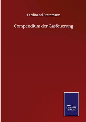 Compendium der Gasfeuerung