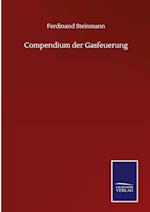 Compendium der Gasfeuerung