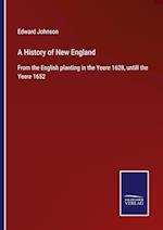 A History of New England