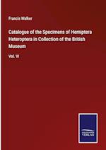 Catalogue of the Specimens of Hemiptera Heteroptera in Collection of the British Museum