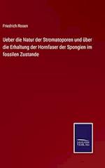 Ueber die Natur der Stromatoporen und über die Erhaltung der Hornfaser der Spongien im fossilen Zustande