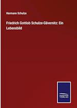 Friedrich Gottlob Schulze-Gävernitz: Ein Lebensbild