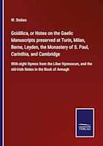 Goidilica, or Notes on the Gaelic Manuscripts preserved at Turin, Milan, Berne, Leyden, the Monastery of S. Paul, Carinthia, and Cambridge