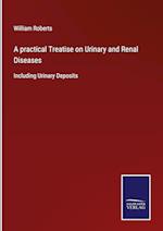 A practical Treatise on Urinary and Renal Diseases