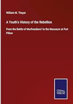 A Youth's History of the Rebellion