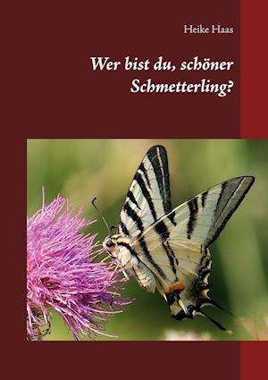 Wer bist du, schöner Schmetterling?