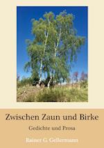 Zwischen Zaun und Birke