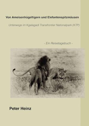 Von Ameisenhügeltigern und Elefantenspitzmäusen