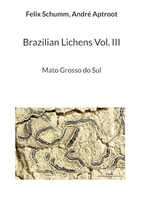 Brazilian Lichens Vol. III