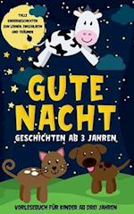 Gute Nacht Geschichten ab 3 Jahren: Tolle Kindergeschichten zum Lernen, Einschlafen und Träumen - Vorlesebuch für Kinder ab drei Jahren