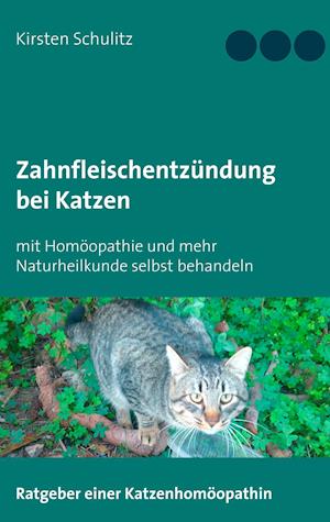 Zahnfleischentzündung bei Katzen