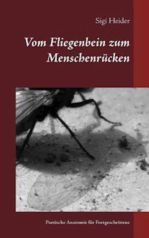 Vom Fliegenbein zum Menschenrücken