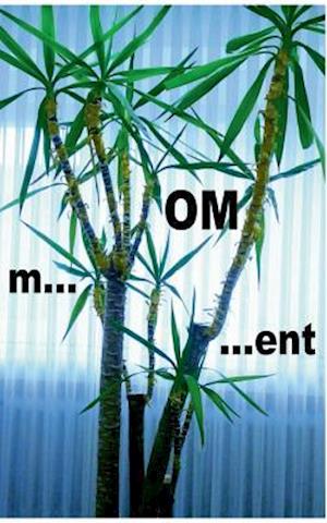 m...OM...ent