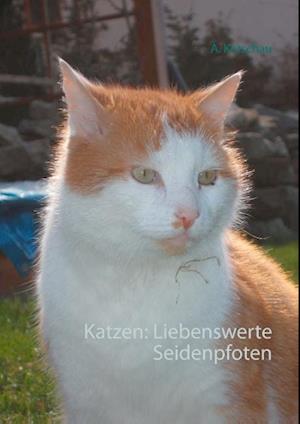 Katzen