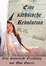 Eine sächsische Revolution