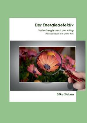 Der Energiedetektiv