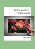 Der Energiedetektiv