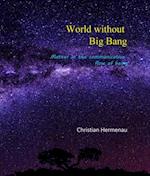 World without Big Bang