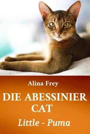 Die Abessinier Cat Little Puma