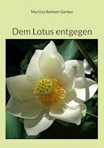 Dem Lotus entgegen