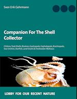 Companion For The Shell Collector