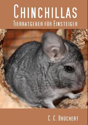 Tierratgeber für Einsteiger - Chinchillas