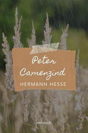 Peter Camenzind