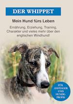 Der Whippet