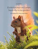 Eichhörnchen im Garten / Squirrels in my garden