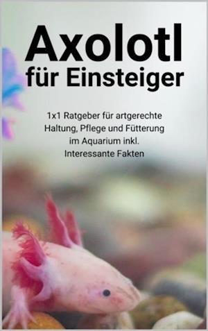 Axolotl für Einsteiger