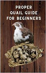 Proper Quail Guide for Beginners