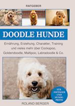 Doodle Hunde