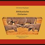 Afrikanische Elefanten