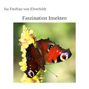 Faszination Insekten