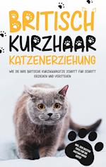 Britisch Kurzhaar Katzenerziehung: Wie Sie Ihre britische Kurzhaarkatze Schritt für Schritt erziehen und verstehen - inkl. der besten Tipps für die Haltung Ihrer Katze