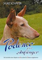 Podenco für Anfänger