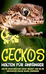 Geckos halten für Anfänger: Wie die Geckohaltung leicht gelingt und Sie die häufigsten Fehler sicher vermeiden - inkl. Tipps für den Gecko Kauf