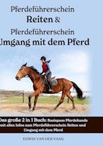 Pferdeführerschein Reiten & Pferdeführerschein Umgang mit dem Pferd