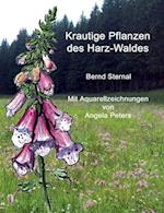 Krautige Pflanzen des Harz-Waldes