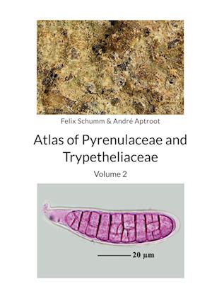 Atlas of Pyrenulaceae and Trypetheliaceae Volume 2