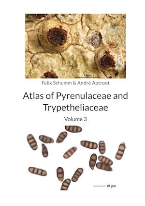 Atlas of Pyrenulaceae and Trypetheliaceae Vol 3