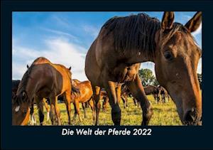 Die Welt der Pferde 2022 Fotokalender DIN A5