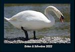 Enten & Schwäne 2022 Fotokalender DIN A4