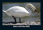 Enten & Schwäne 2022 Fotokalender DIN A5