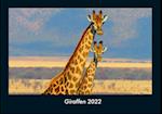 Giraffen 2022 Fotokalender DIN A4