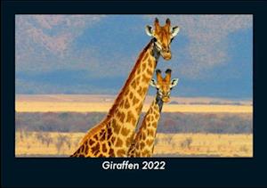 Giraffen 2022 Fotokalender DIN A5