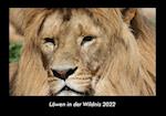 Löwen in der Wildnis 2022 Fotokalender DIN A3