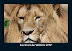 Löwen in der Wildnis 2022 Fotokalender DIN A5